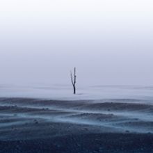 GRoW @ The Wallis Presents RECKONING – A Short Play Festival