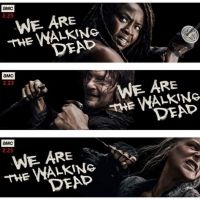 Photo Flash: AMC Releases Key Art Ahead of THE WALKING DEAD Mid-Season Premiere