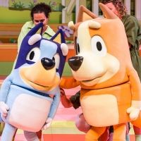 ANNIE, BLUEY'S BIG PLAY, and More Announced for Family Discovery Series at Kimmel…