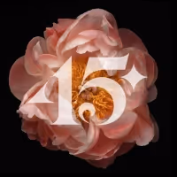 Tafelmusik Unveils 2023/24 Season Celebrating The Orchestra's 45th Anniversary