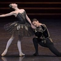 Cast Announced For 'Educational Programme-First Steps: Swan Lake'