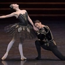 Cast Announced For 'Educational Programme-First Steps: Swan Lake'