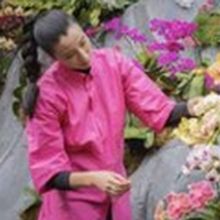 NRDC Partners with Art at a Time Like This at EXPO CHICAGO to Highlight the Power of 