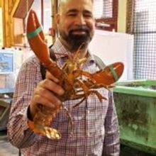 'Portland's Complicity in African Enslavement' Presentation Will Be Held at First Par