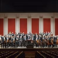 Orquesta Estable Performs Concierto 8 This Weekend