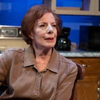 Photos: First Look at Vintage Theatre Productions' FIREFLIES