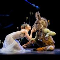 Royal New Zealand Ballet Cancels Performances and Makes Changes to Auditorium