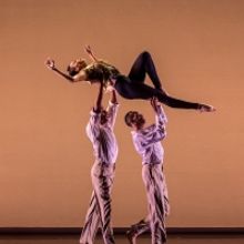 Dallas Black Dance Theatre's Cultural Awareness Highlights World Premieres and Timele