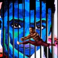 Deeply Rooted Returns To The Stage in May and June