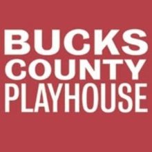 Bucks County Playhouse Youth Company is Searching for Boys 13-18 for Production of AL