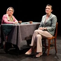 Photos: First Look at the World Premiere of HOW TO LIVE at LABA