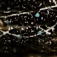 Alicia Rodriquez Solo Exhibition Announced At Bailey Contemporary Arts