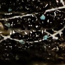 Alicia Rodriquez Solo Exhibition Announced At Bailey Contemporary Arts