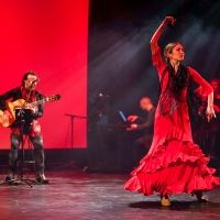 Photos: First Look at ASÍ CANTA FEDERICO at Centro Español de Queens