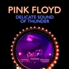 PINK FLOYD'S DELICATE SOUND OF THUNDER Coming to Digital December 1st