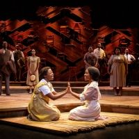 THE COLOR PURPLE Comes to Thrasher Horne Center in March