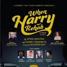 The World Premiere of WHEN HARRY MET REHAB Will Be Performed at the Greenhouse Theatr