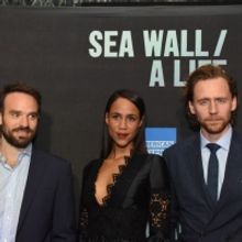 Photo Coverage: On the Red Carpet at Opening Night of SEA WALL/A LIFE, Starring Jake 