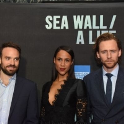 Photo Coverage: On the Red Carpet at Opening Night of SEA WALL/A LIFE, Starring Jake Gyllenhaal and Tom Sturridge