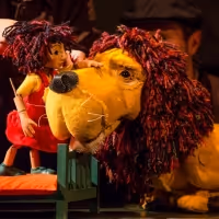 New Shows Announced For Spring at the Polka Theatre