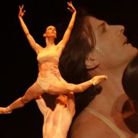 Photo Coverage: Annual BALLET ICONS GALA in London