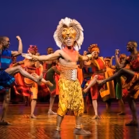 Review Roundup: THE LION KING Tour Roars Back to the Stage; What Are The Critics…