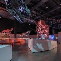 Ars Lyrica Houston Hosts Gala At The Houston Museum Of Natural Science, February 4