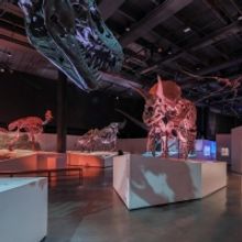 Ars Lyrica Houston Hosts Gala At The Houston Museum Of Natural Science, February 4