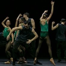 The Greek National Opera Ballet Travels to Italy With HUMAN BEHAVIOR