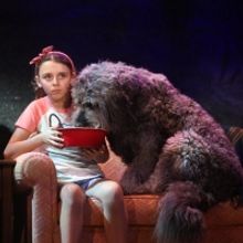 Photo Flash: Get A First Look At BECAUSE OF WINN DIXIE at Goodspeed Musicals