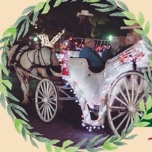 Marshall Symphony Orchestra's WONDERLAND OF LIGHTS Will Go in With Modified Events