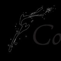Talent From Phoenix' Musical Theatre Community Perform AT THE BALLET, April 24 Interview