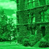 Williamstown Theatre Festival Cancels First Performance of ALIEN/NATION Due to…