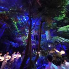 New Online and In-Person Opera Experience ARIA Launches in Hong Kong