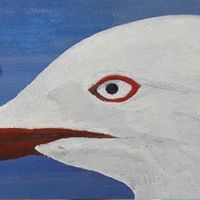 The Silver Gull Play Award 2022 Shortlist Announced