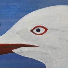 The Silver Gull Play Award 2022 Shortlist Announced