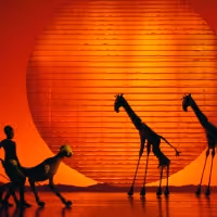THE LION KING Returns To Birmingham Hippodrome Next Summer