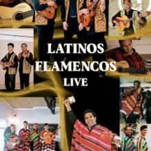 LATINOS FLAMENCOS LIVE Comes to The Drama Factory