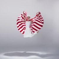 Martha Graham Dance Company Presents GRAHAMDECONSTRUCTED: EVERY SOUL IS A CIRCUS…