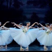 GISELLE Will Celebrate 180th Anniversary With Performance From West Australian Ballet