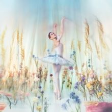 The Royal Ballet's CINDERELLA Celebrates its 75th Anniversary and a New Production