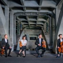 The Lab Presents Australian String Quartet Exclusive Immersive Sensory Experience