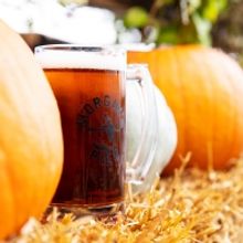 Morgan's Pier Presents FALL FEST On The Waterfront With Pumpkin Carving, Fall Decor, 