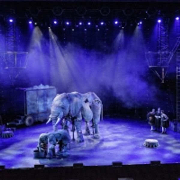 Video: First Look At CIRCUS 1903 at Southbank Centre's Royal Festival Hall - UK Regional Theater Video