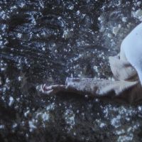 Birds Of Paradise Present New Film OBITS at Fruitmarket For One Week Only