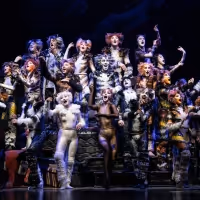 Andrew Lloyd Webber's CATS Will Play Mayo Performing Arts Center From, March…