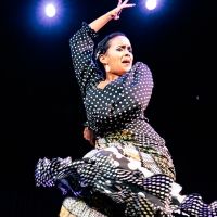 The Lisa Smith Wengler Center for the Arts Presents Flamenco Vivo Carlota Santana in…