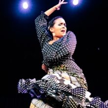 The Lisa Smith Wengler Center for the Arts Presents Flamenco Vivo Carlota Santana in 