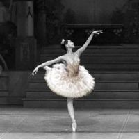 THE NUTCRACKER Will Be Performed by the Boston Ballet This November