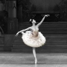 THE NUTCRACKER Will Be Performed by the Boston Ballet This November